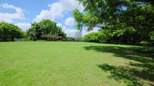 夏天蓝天白云阳光草坪草地绿地树林森林公园