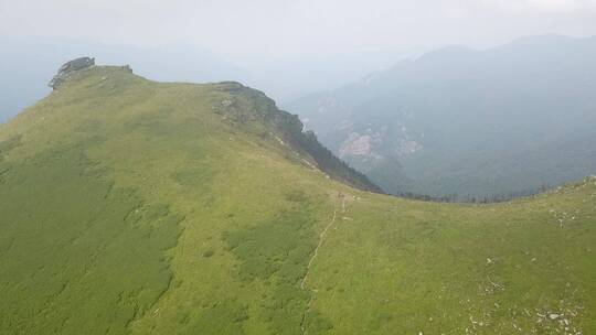 高山草甸 秦岭风光  登山视频素材模板下载