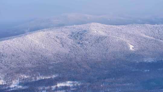 航拍林海雪原雾凇美景241231-5