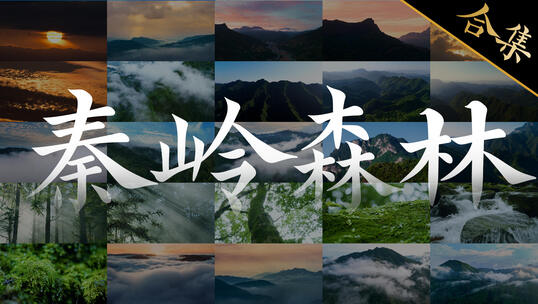 4K秦岭山脉 秦岭日出 秦岭航拍森林实拍