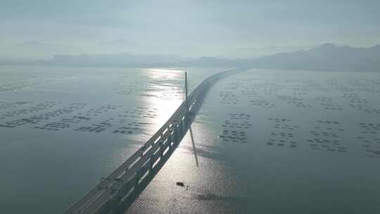 深圳湾公路大桥航拍深圳湾大桥日出桥梁阳光视频素材模板下载