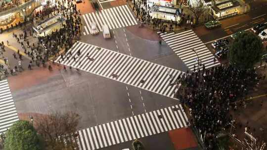 十字路口人流延时视频素材模板下载