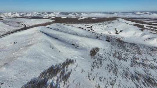 大兴安岭丘陵山地寒冬山林雪景自然风光视频素材模板下载