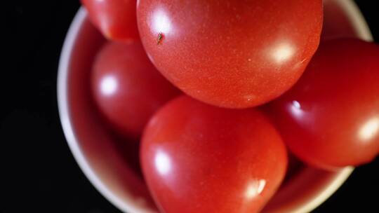 番茄西红柿迷你番茄樱桃番茄
