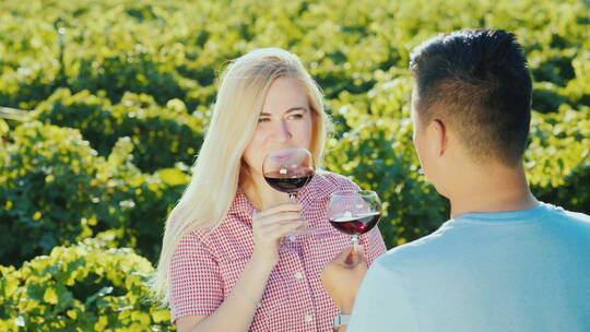 一对情侣在葡萄园中品尝红酒视频素材模板下载
