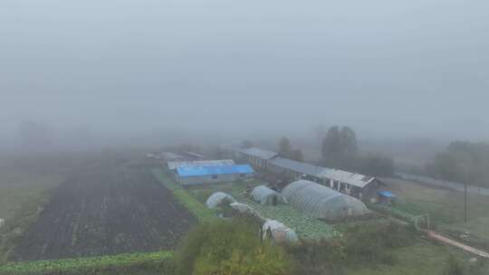 航拍晨雾中的乡村农家院视频素材模板下载