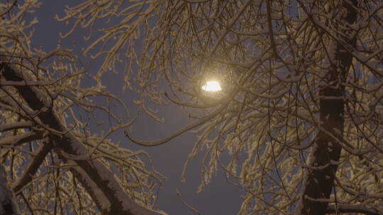 城市冬天雪景 夜晚雪景