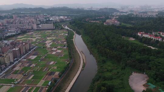 航拍深圳龙华区观澜城市绿化