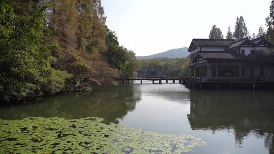 杭州西湖景区杨公堤风景