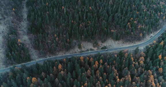 航拍秋季川西树林盘山路