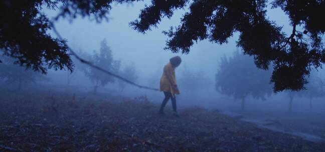 女孩在雾气弥漫的田野里跳舞