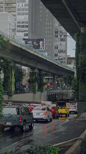 城市道路交通人员