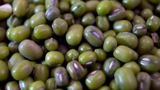 微距特写绿豆素材