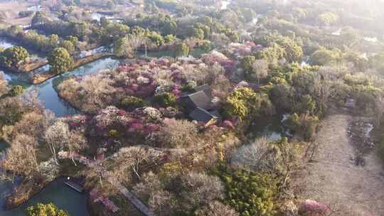 杭州西溪湿地曲水寻梅 春天江南梅花航拍