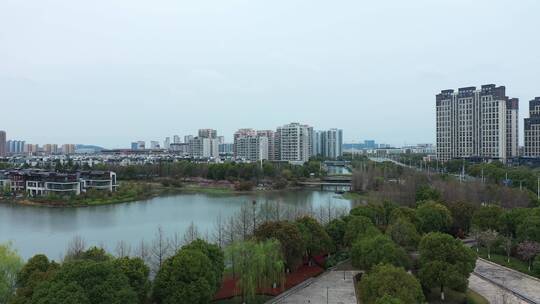 城市里的诺贝和湖湿地