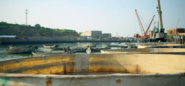 威海渔船码头1