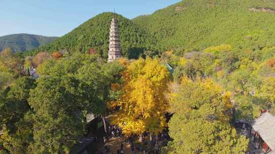 4k航拍山东济南灵岩寺秋景