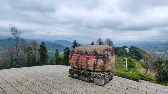 大自然茶园茶叶茶山美景景色