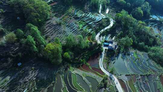 云南元阳梯田