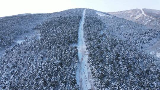 航拍雪地冬季森林公路