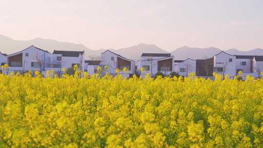 杭州富阳东梓关村春天风景