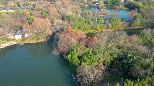 杭州市西湖区西溪湿地美景风景视频素材视频素材模板下载