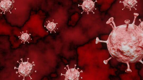 红色冠状病毒细胞动画