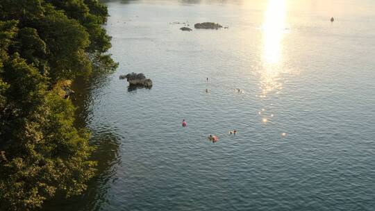 夕阳傍晚河里游泳的人们