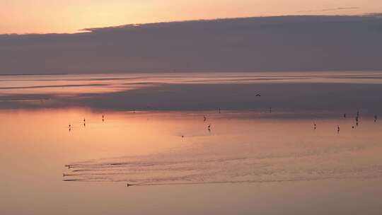 天空之境黄河入海口湿地日出