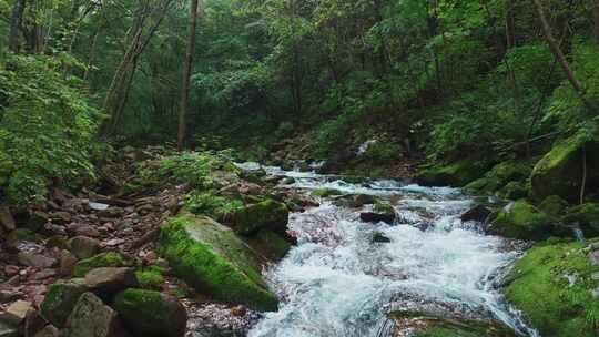 辽宁本溪夏季森林山谷瀑布航拍