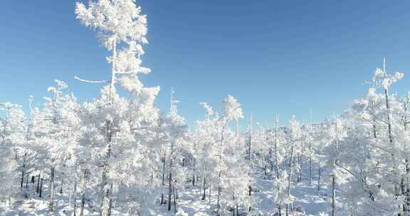 航拍内蒙古大兴安岭冰雪雾凇、雪凇