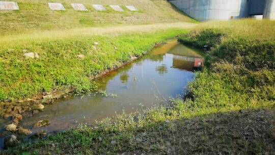 4K湖泊风景湿地芦苇河滩水草丛中生态湖水