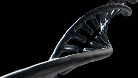 黑色DNA 基因链条_alpha通道