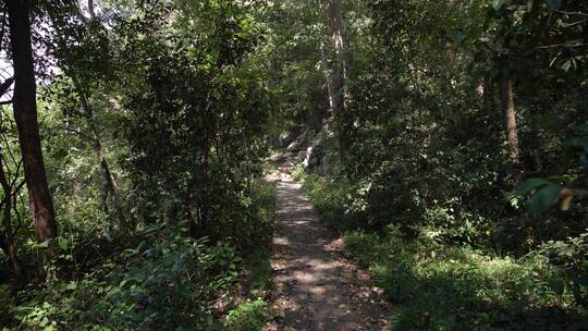 杭州玉皇山景区北观音洞