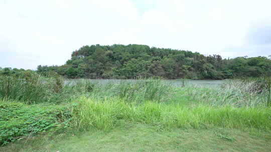 武汉江夏区藏龙岛国家湿地公园