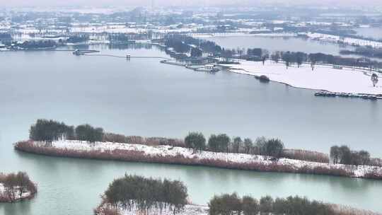 航拍湿地公园雪景树林湖岛木屋鸟类杉树木