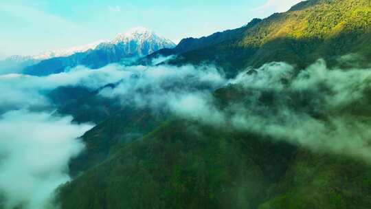 高山云雾云山雾罩