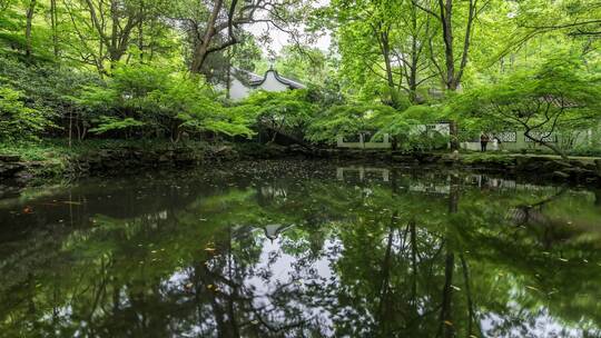 杭州 虎跑公园 春季景观 延时