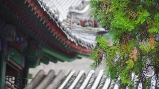 古建筑屋檐雨滴