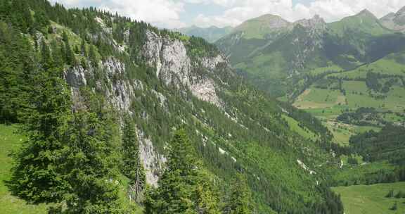 瑞士，阿尔卑斯山，山脉，森林