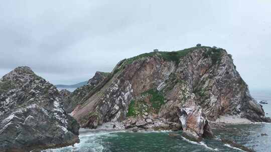 海岛 湿地鸟类