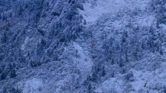 远眺牛背山雪景