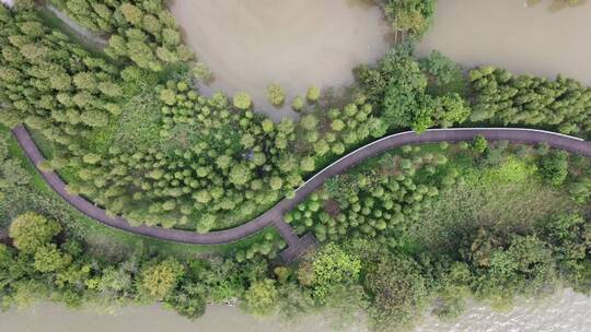 广州城市湿地公园航拍视频素材模板下载