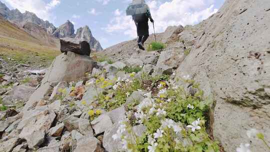 夏天在山上徒步旅行