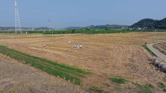 航拍天府粮仓农田农业耕地