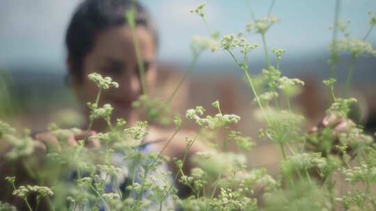 修剪，园丁，女人，植物