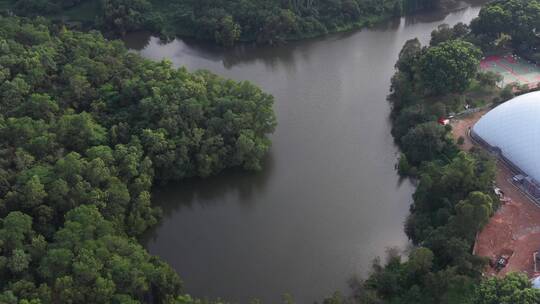 航拍深圳龙华区观澜河流及城区绿化