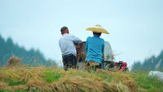 秋收务农梯田农民丰收