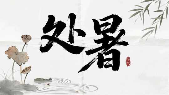 处暑节气水墨书法传统文化艺术视频