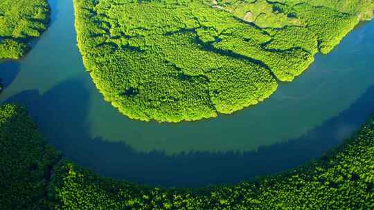 无人机飞过热带森林、美丽的红树林和蜿蜒的河流。